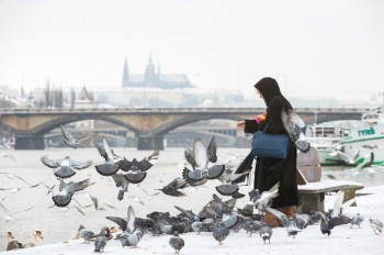 В Чехии объявлено новое предупреждение о сильных морозах
