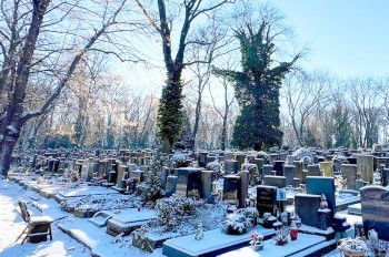 «Не сыграйте в ящик». Так управление кладбищами Праги предупредило горожан о гололеде