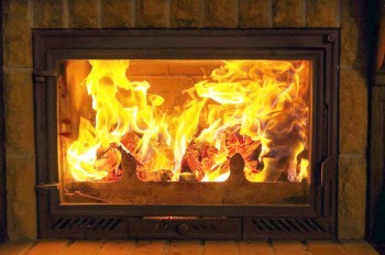 В Чехии эстет залез в чужой дом, разжёг камин, выпил шампанского и закусил кошачьим кормом