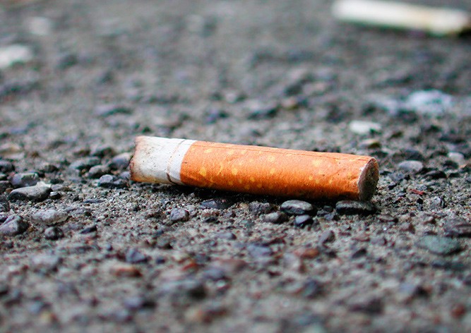 В Праге необычным способом начали бороться с окурками на улицах