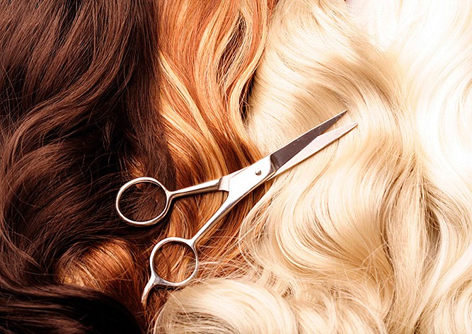 Жительнице Чехии грозит тюрьма за мошенничество с волосами