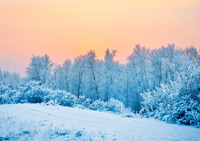 В Чехию идут морозы до -20°C