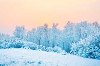 В Чехию идут морозы до -20°C
