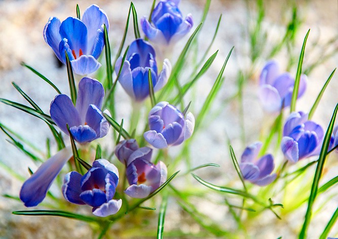 Синоптики рассказали о погоде в Чехии в марте