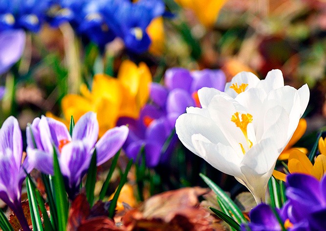 Воскресенье в Праге выдалось рекордно теплым