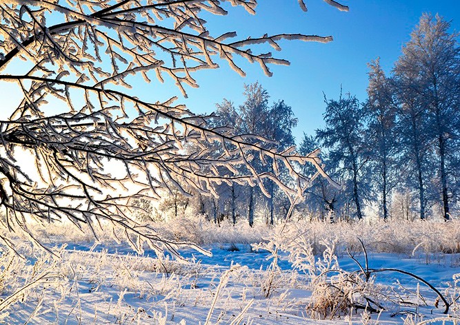 В Чехию идут морозы до -12°C