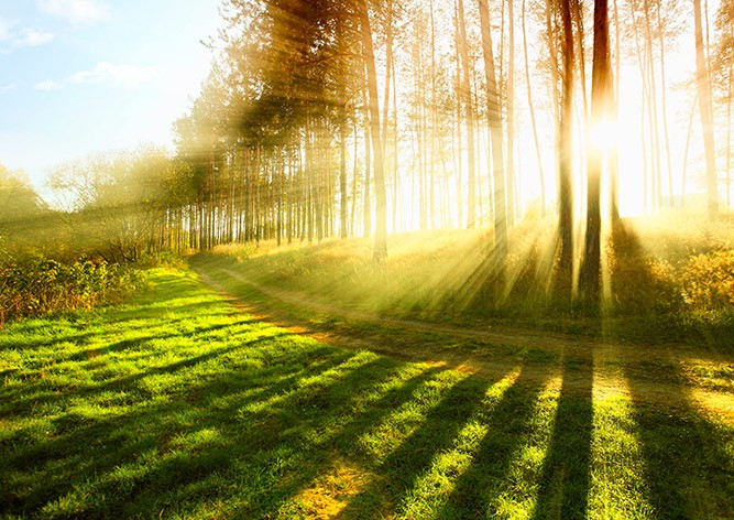 Синоптики пообещали жителям Чехии теплые выходные