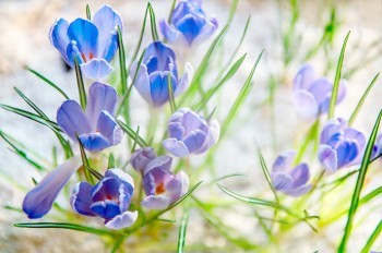 Синоптики рассказали о погоде в Чехии в марте