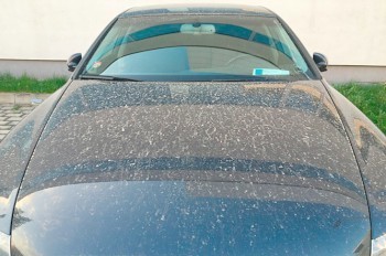 Циклон принес в Чехию песок из Сахары