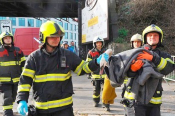 В Праге пожарные спасли застрявшего на мосту лебедя