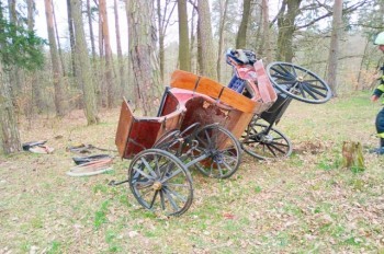 В Чехии фаэтон врезался в дерево. Лошади не пострадали, только люди