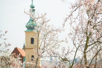 Четверг выдался в Чехии аномально теплым