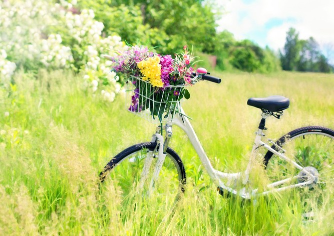 Лето близко: в ближайшие дни в Чехии потеплеет до +27°C