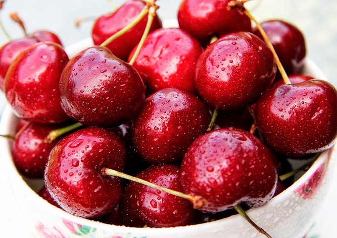 Где можно бесплатно собирать черешню в Праге