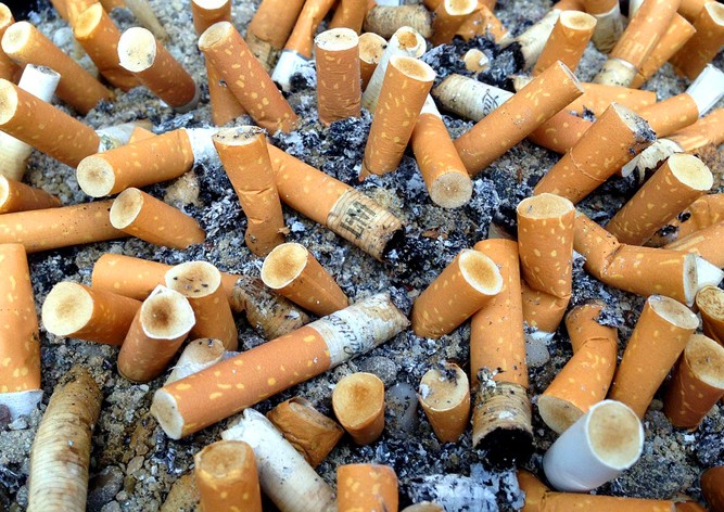 Мэрия Праги подхватила эстафету оригинальной борьбы с окурками