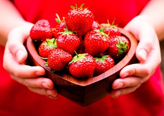 Где в Чехии купить недорогую клубнику прямо с грядки