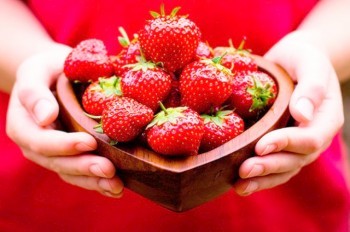 Где в Чехии купить недорогую клубнику прямо с грядки