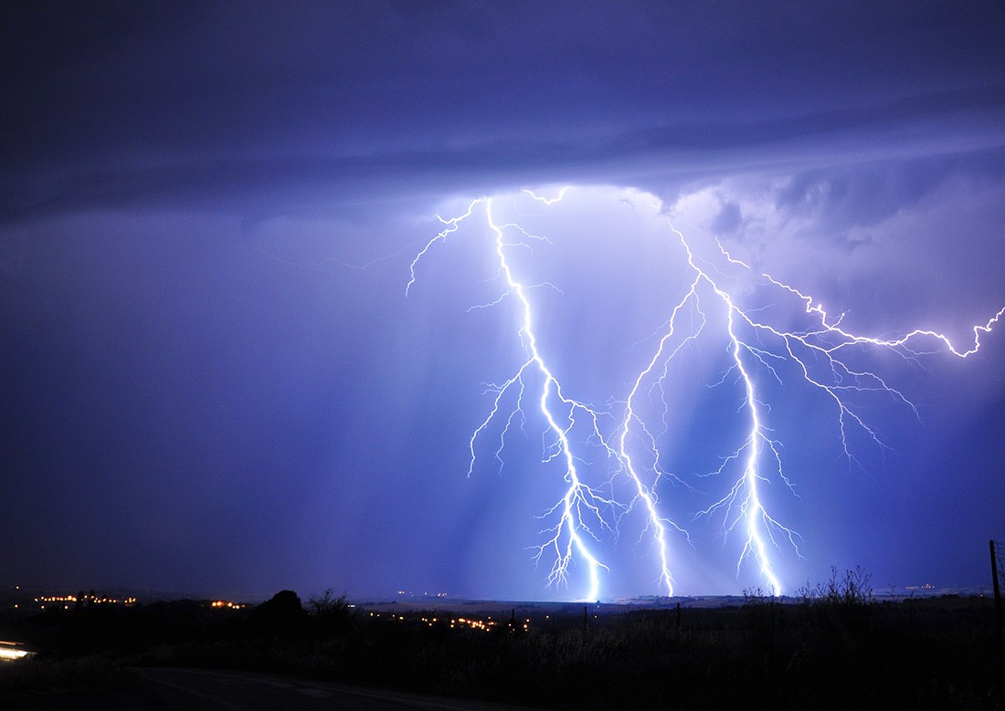 Молния убила 33 лошади на пастбище в Италии. Увиденное шокировало спасателей