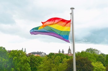 В деле о краже собачьих носов из пражской ветклиники появились жуткие подробности