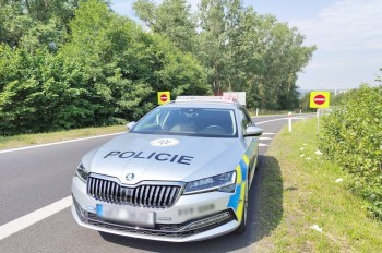 Житель Чехии сообщил полиции, что нашел в лесу человеческую ногу. Ошибиться было легко