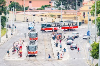 В выходные в Праге пройдут бесплатные экскурсии по 18 виноградникам