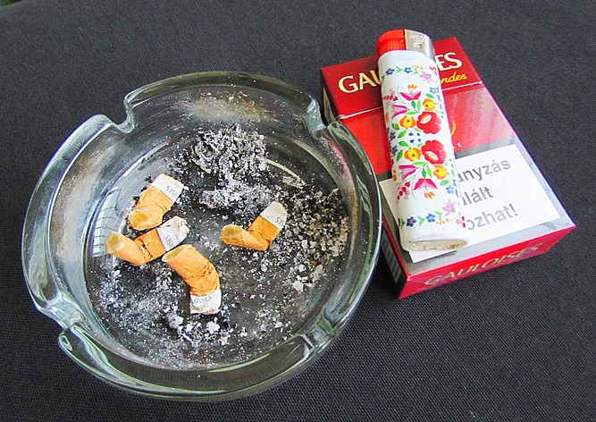 Рестораны Чехии нашли необычное применение ставшим ненужными пепельницам