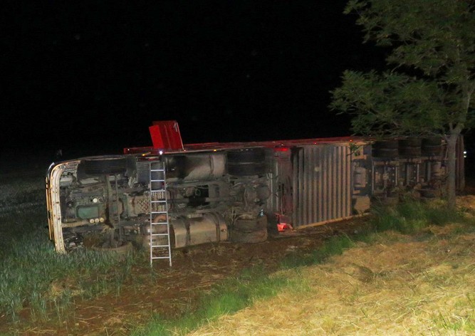 В Чехии пьяный водитель-иностранец опрокинул грузовик с коровами