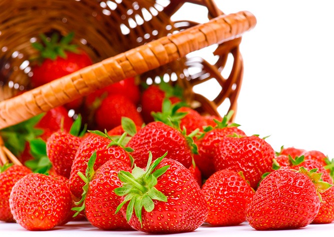 В субботу в Праге пройдет фестиваль клубники Jahodobraní