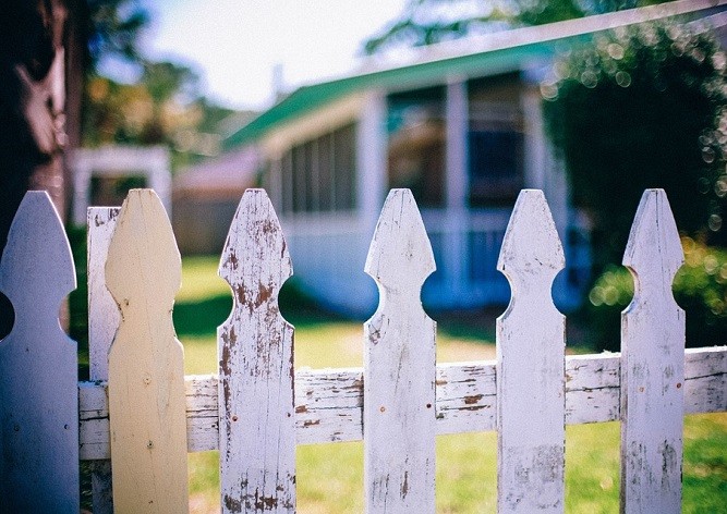 Глава сената Чехии предложил “стучать” на работающих по шварц-системе соседей