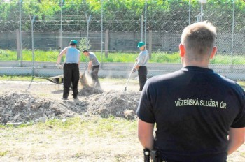 В Чехии 22 человека поймали на продаже наркотиков заключенным