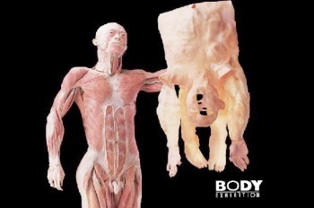 В Праге требуют запретить скандальную выставку мертвых тел