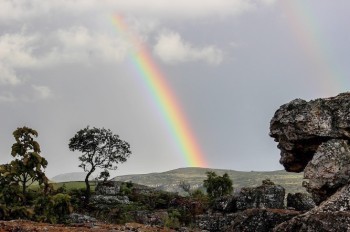 Названы лучшие для жизни страны мира в 2017 году