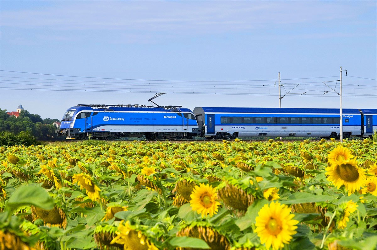 «Чешские железные дороги» объявили акцию на лето 2025 года