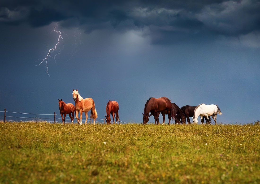 В Чехии объявлено предупреждение о сильных  грозах 