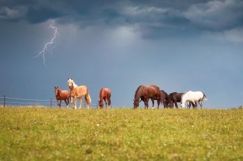 В Чехии объявлено предупреждение о сильных  грозах 