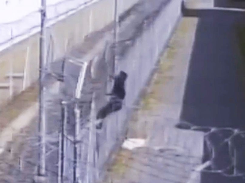 В Праге из тюрьмы пытался сбежать заключенный: видео