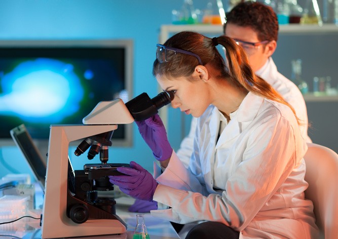 Открытие чешских медиков позволит выиграть годы в борьбе с опухолями мозга