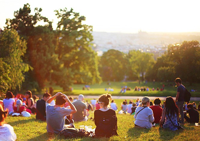 DámeJídlo начнет доставлять заказы на пикники в Праге и Брно