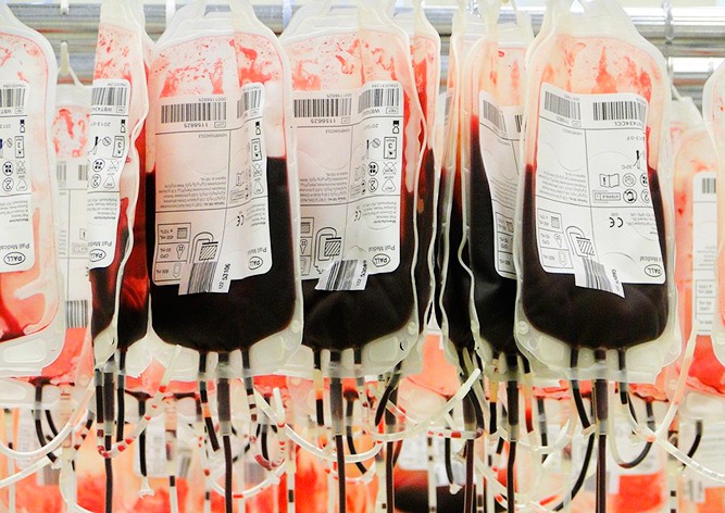 Доноры в Чехии получат дополнительные налоговые льготы