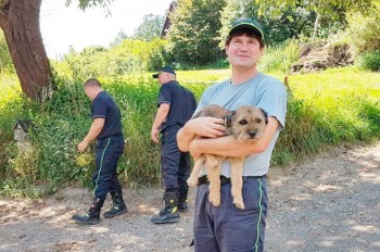 Чудо в Чехии: собака выбралась из-под завалов спустя 16 дней