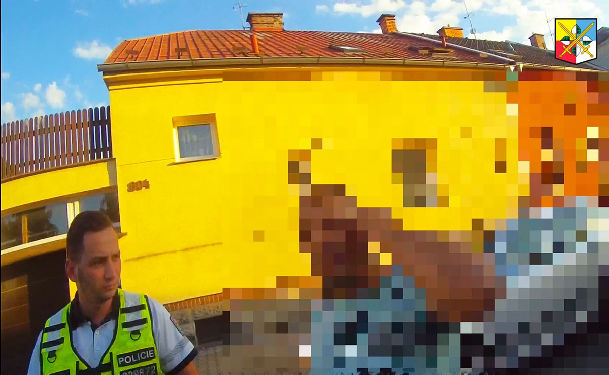 В Чехии водитель на пустом месте нарвался на уголовку: видео