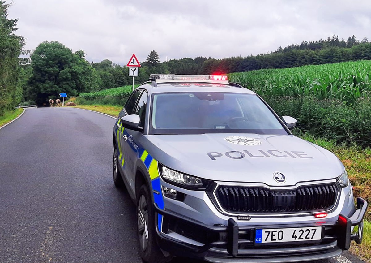 В Чехии иностранец заснул неудачно для себя, но удачно для остальных