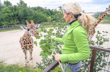 Пражский зоопарк объявил вечернюю скидку до конца лета