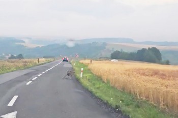 Игривый волк на дороге удивил водителя в Чехии: видео