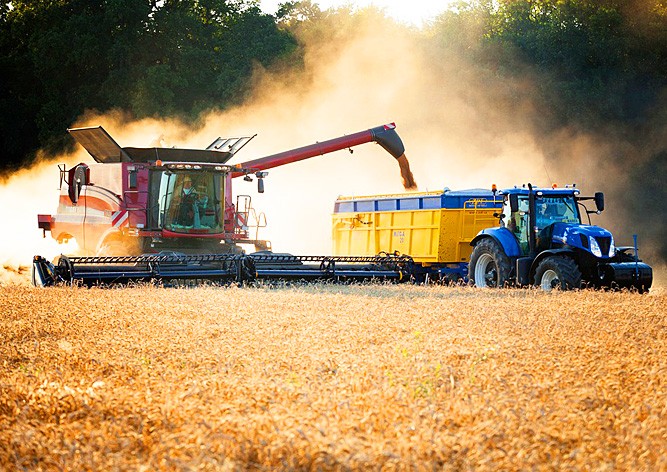 Чехия упростит трудоустройство украинцев в сельском хозяйстве