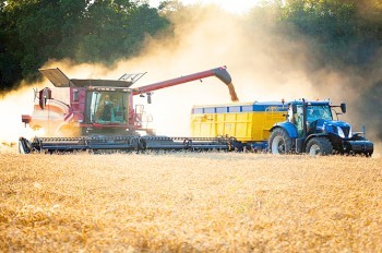 Чехия упростит трудоустройство украинцев в сельском хозяйстве