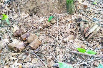 В пражском парке нашли гранаты времен Второй мировой войны