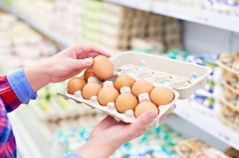 Зараженные сальмонеллой яйца попали в чешские магазины