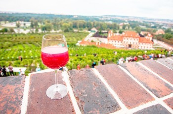 Фестивали «Винобрани» в Праге: где и когда