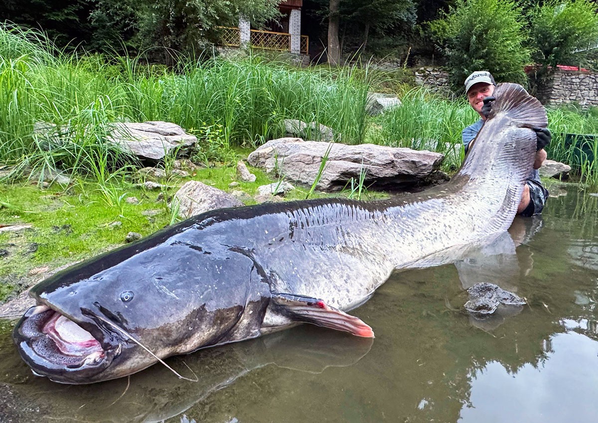 В Чехии рыбак поймал самого большого сома в истории страны